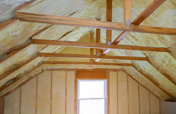 Best Fiberglass Insulation  in Trappe, MD