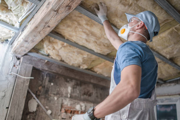 Best Attic Insulation Installation  in Trappe, MD