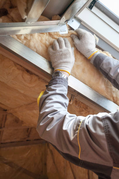 Best Local Insulation Services  in Trappe, MD