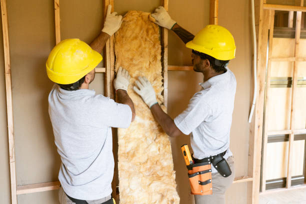 Best Home Insulation Services  in Trappe, MD