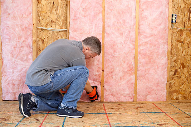 Best Energy-efficient Insulation  in Trappe, MD