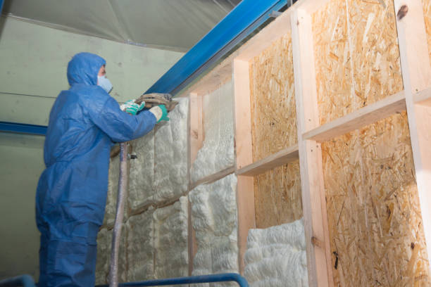 Best Insulation Contractor Near Me  in Trappe, MD